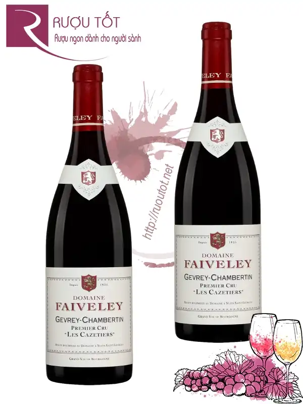 Rượu Domaine Faiveley Gevrey - Chambertin Premier Cru 