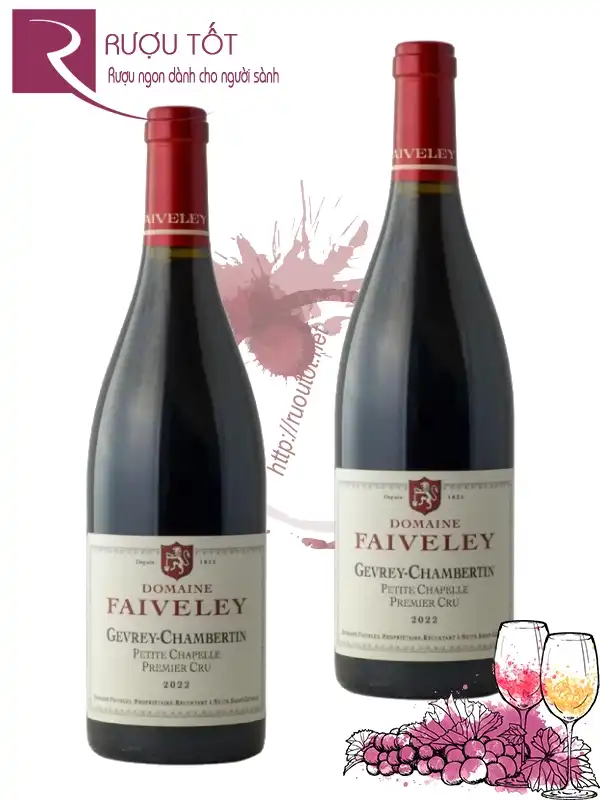 Rượu Domaine Faiveley Gevrey-Chambertin Premier Cru 