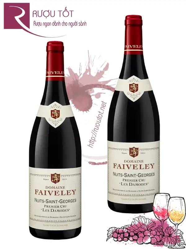 Rượu Domaine Faiveley Nuits - Saint - Georges Premier Cru 