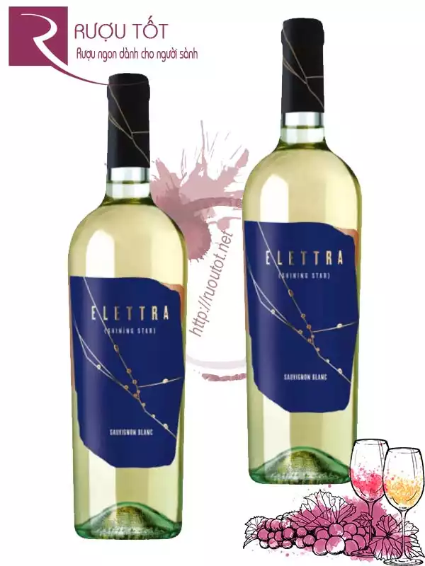 Rượu vang Elettra Sauvignon Blanc