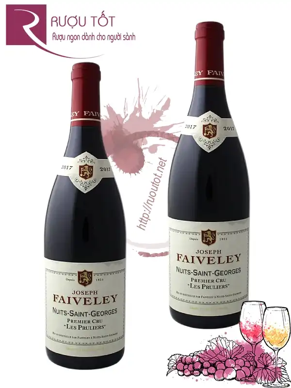 Rượu Faiveley Nuits - Saint - Georges Premier Cru 