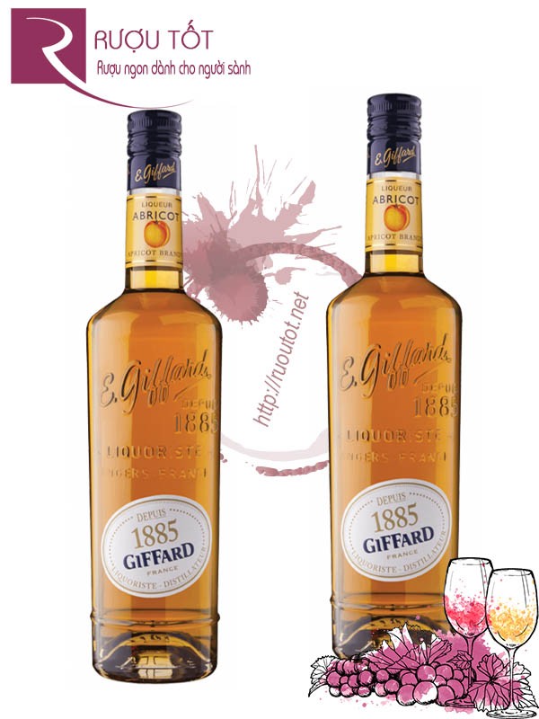 Rượu Mùi Giffard 1885 Abricot Brandy