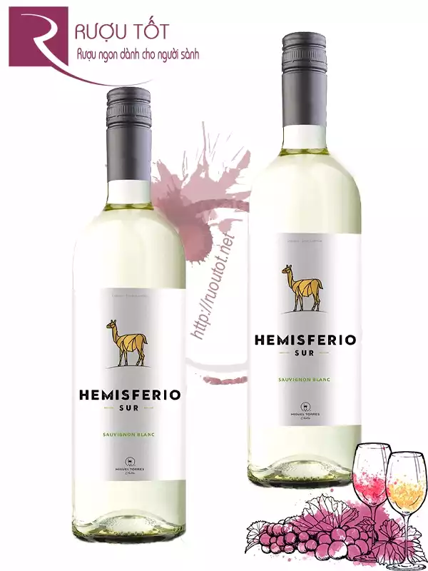 Rượu vang Hemisferio Sur Sauvignon Blanc Central Valley