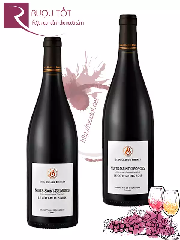 Rượu Jean Claude Boisset Nuits Saint Georges Premier Cru Aux Chaignots
