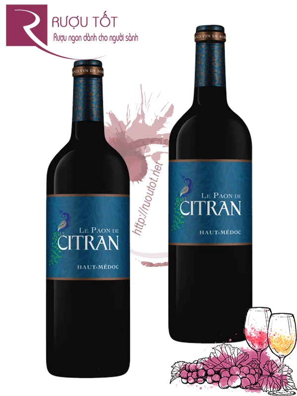 Rượu vang Le Paon de Citran Haut Medoc