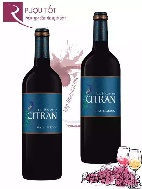 Rượu vang Le Paon de Citran Haut Medoc