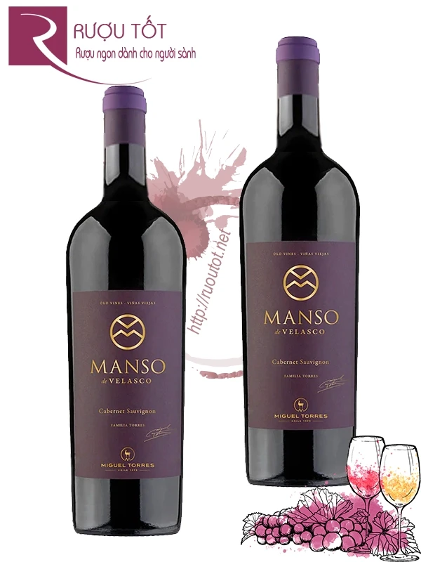 Vang Chile Manso de Velasco Cabernet Sauvignon Miguel Torres