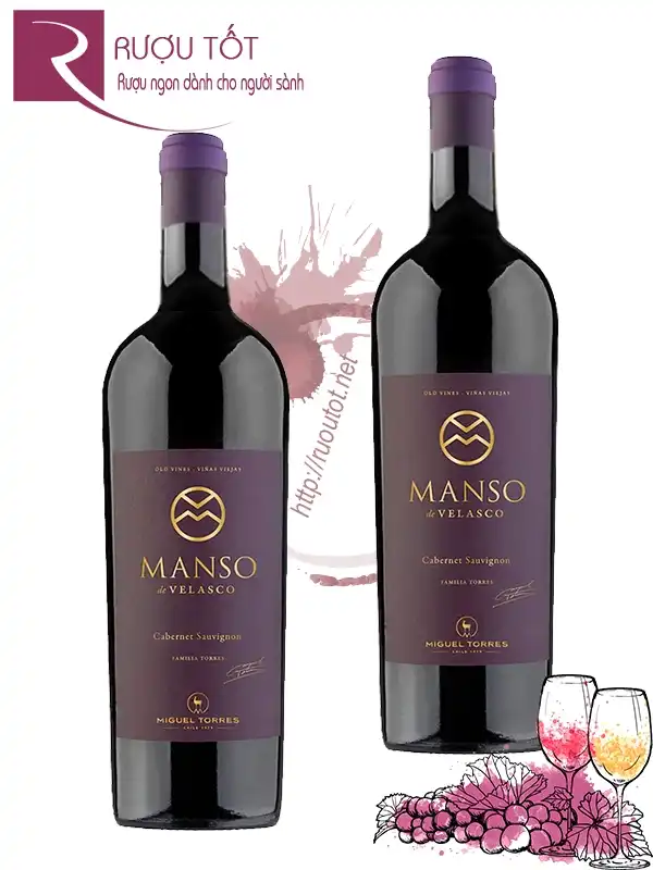 Vang Chile Manso de Velasco Cabernet Sauvignon Miguel Torres