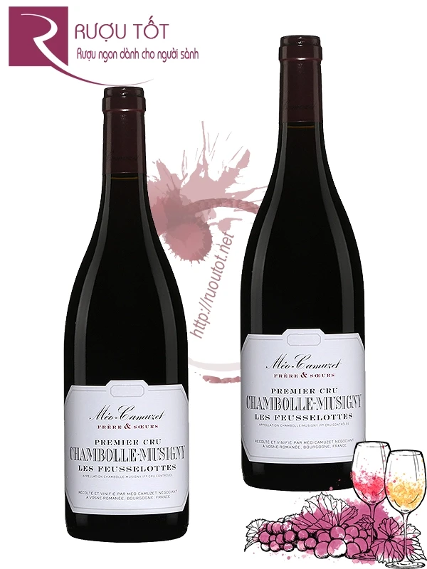 Vang đỏ Meo Camuzet Chambolle Musigny Premier Cru
