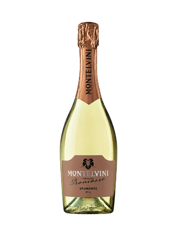 Rượu Vang Nổ Montelvini Promosso Supmante Brut 750ml