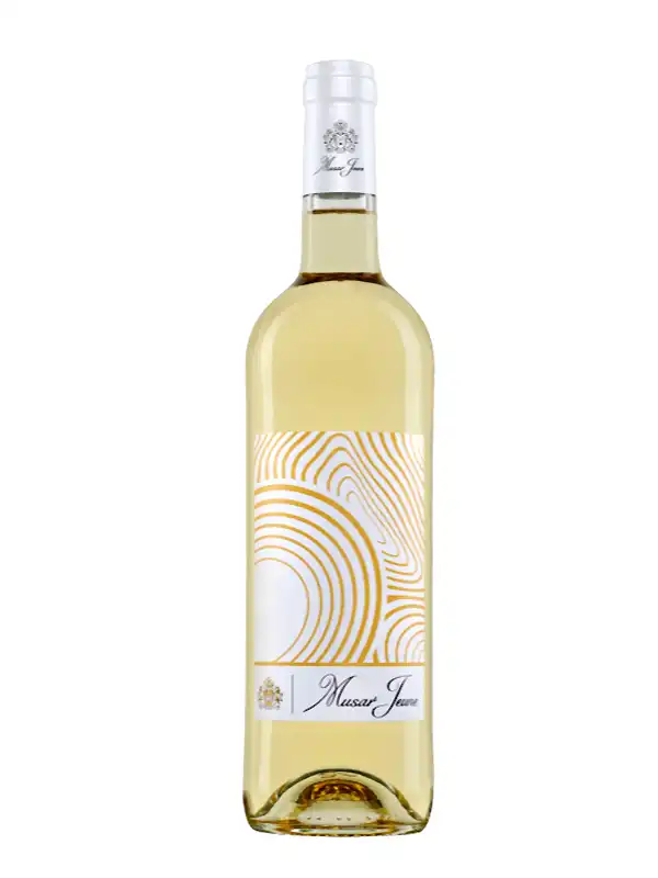 Vang trắng Musar Jeune Valle de la Bekaa Blanc