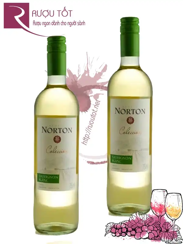 Rượu Vang Norton Sauvignon Blanc Coleccion Varietales Bodega