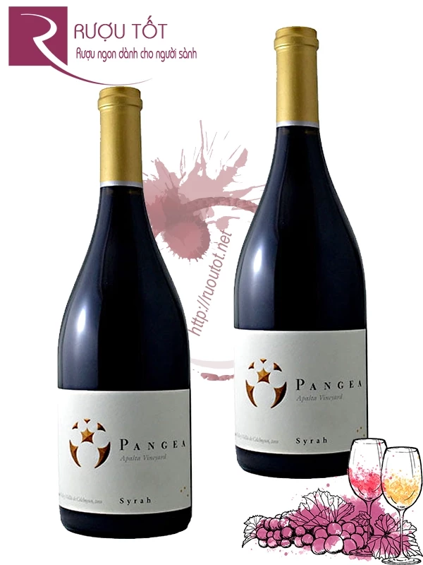 Vang Chile Pangea Syrah (Hộp gỗ) 750ml 1,5L 3L