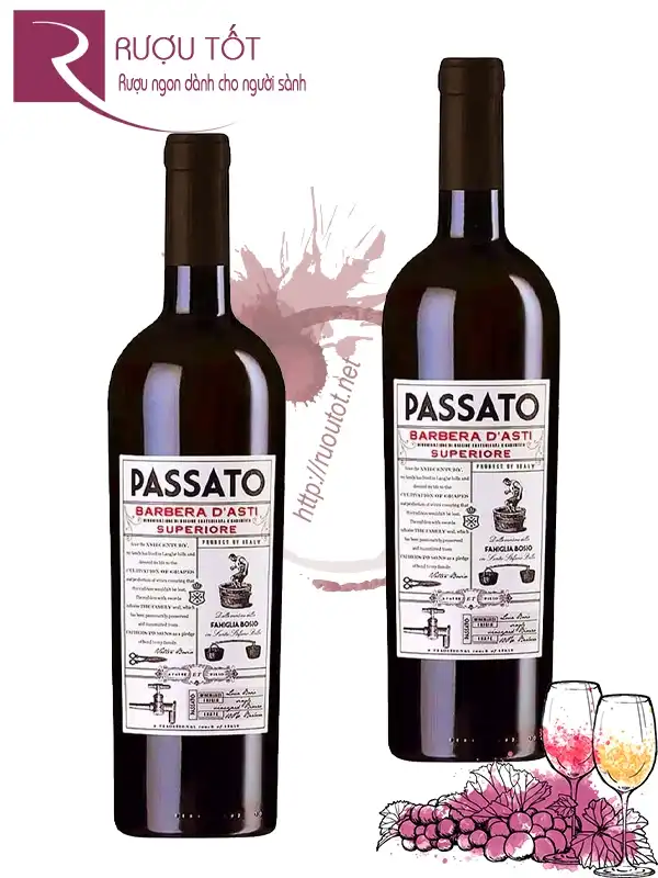 Rượu vang Passato Barbera d'Asti Superiore Organic DOCG