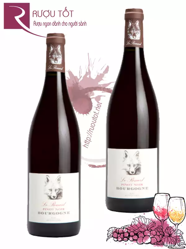 Rượu vang Le Renard Pinot Noir Bourgogne