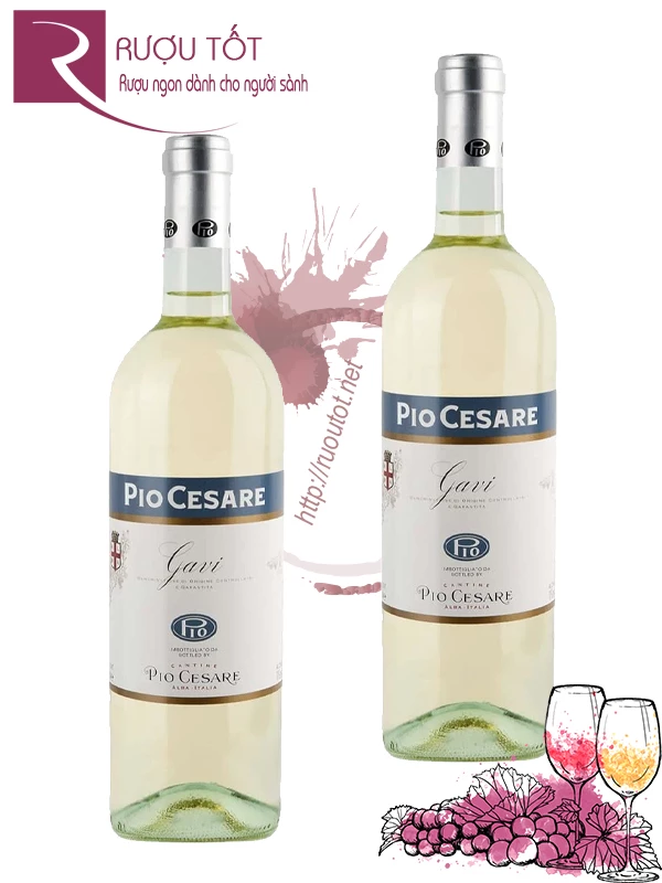Rượu vang Pio Cesare Gavi DOCG