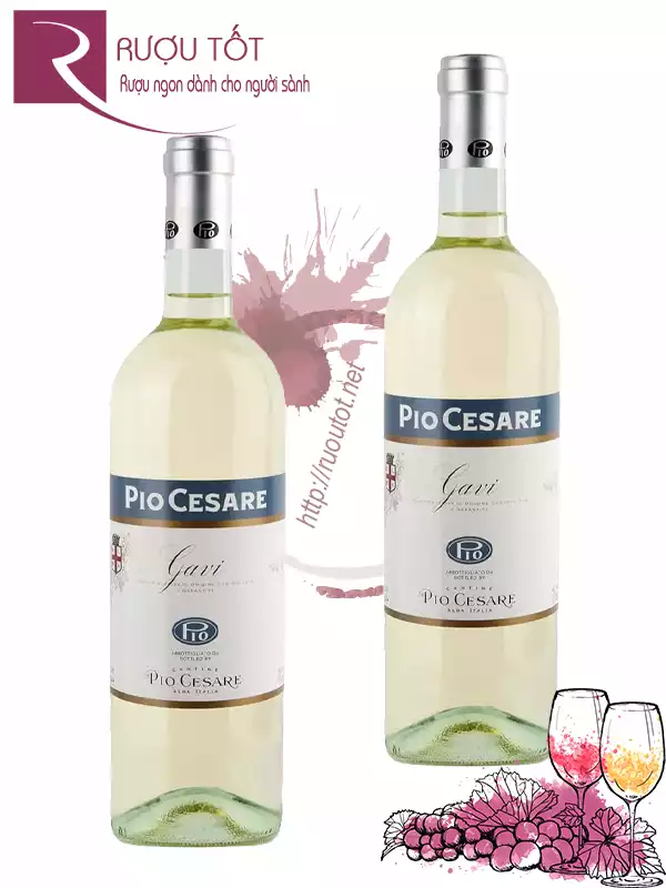 Rượu vang Pio Cesare Gavi DOCG