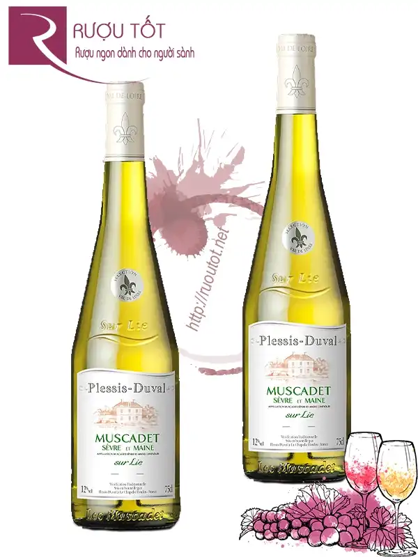 Vang Pháp Plessis Duval Muscadet Sevre Et Maine