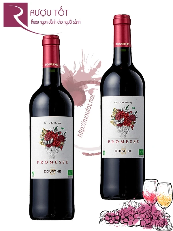 Vang đỏ Promesse de Dourthe Cotes de Bourg