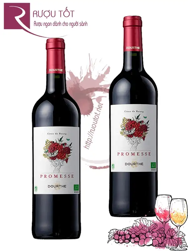 Vang đỏ Promesse de Dourthe Cotes de Bourg