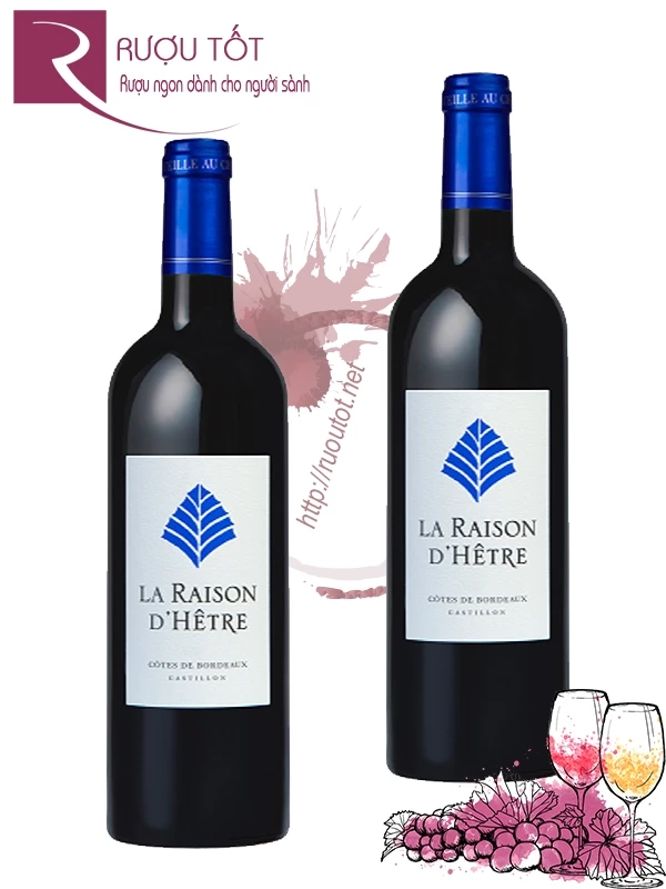 Rượu vang La Raison d’Hetre Castillon Cotes de Bordeaux