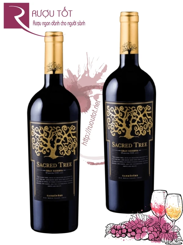 Rượu Vang Chile Sacred Tree Reserva Cabernet Sauvignon