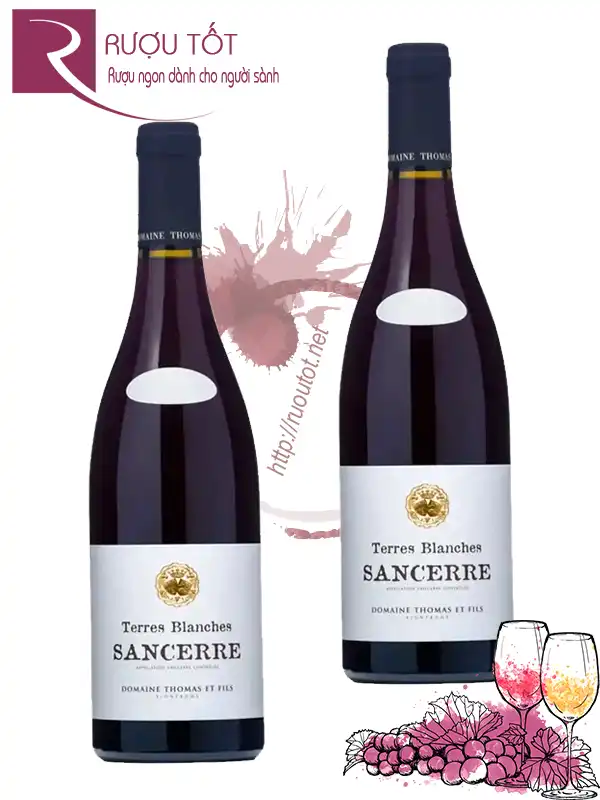 Rượu vang Domaine Thomas et Fils Sancerre Les Terres Blanches