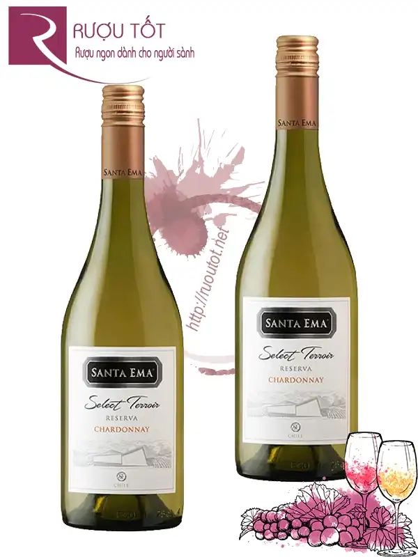 Rượu Vang Santa Ema Chardonnay Terroir Reserva Cao Cấp