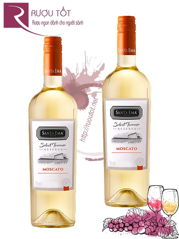 Vang trắng Santa Ema Moscato Select Terroir Reserva