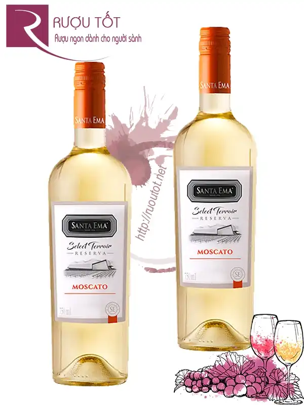 Vang trắng Santa Ema Moscato Select Terroir Reserva