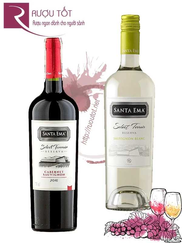 Rượu Santa Ema Terroir Reserva (Red - White) 750ml Chile