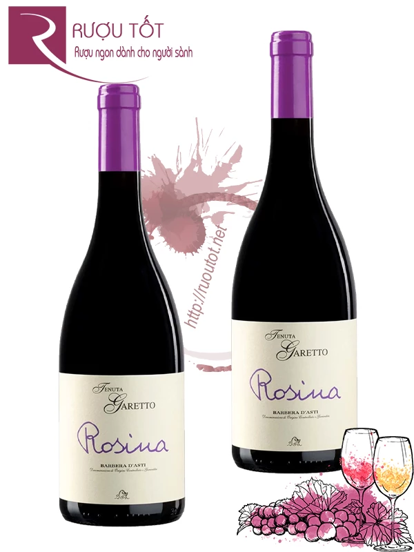 Rượu vang Tenuta Garetto Rosina Barbera d’Asti DOCG