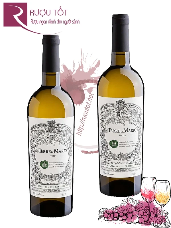 Vang trắng Terre di Mario Vino Bianco 11,5%