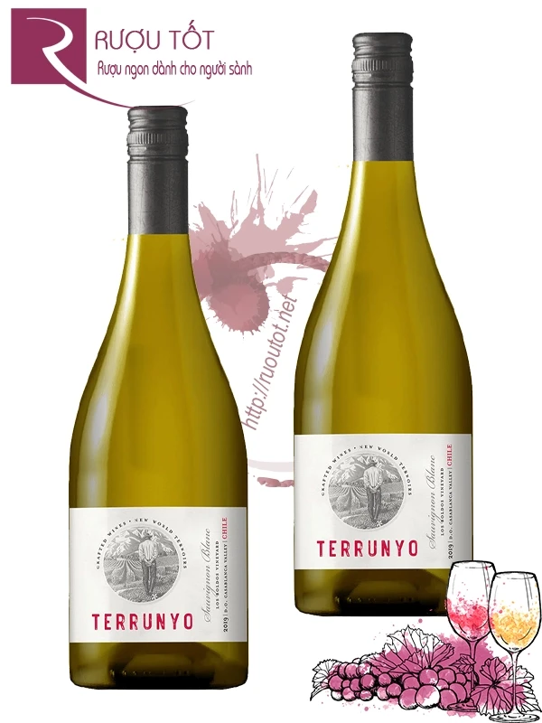 Vang Chile Terrunyo Sauvignon Blanc Block 5 Concha Y Toro
