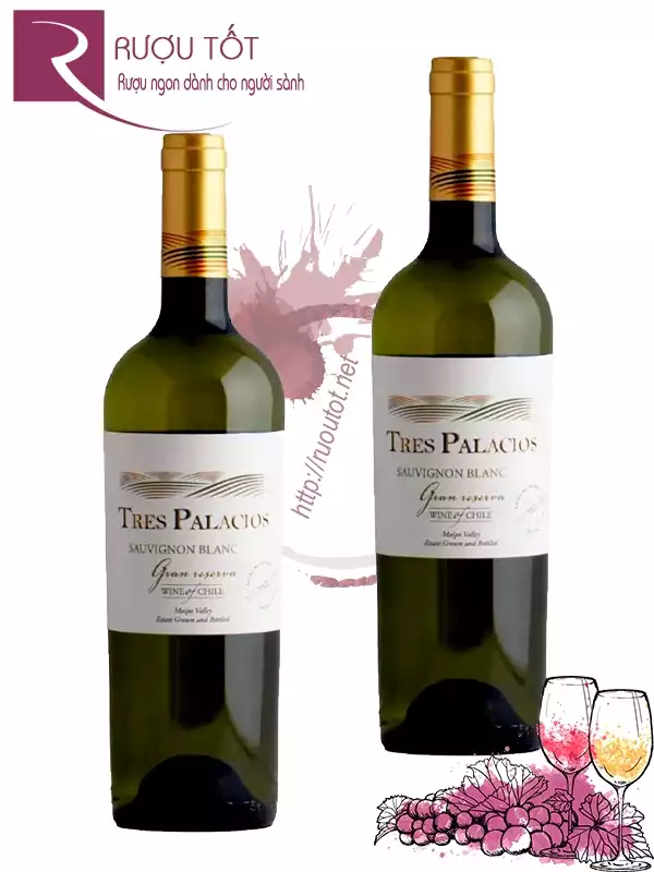 Rượu vang Tres Palacios Gran Reserva Sauvignon Blanc