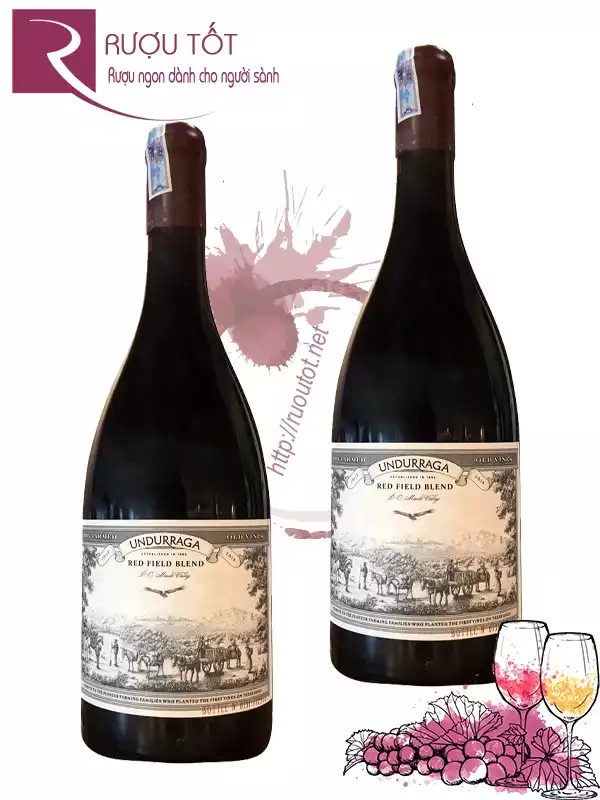 Rượu vang Undurraga Red Field Blend