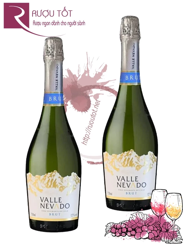 Rượu vang Valle Nevado Brut Sparkling