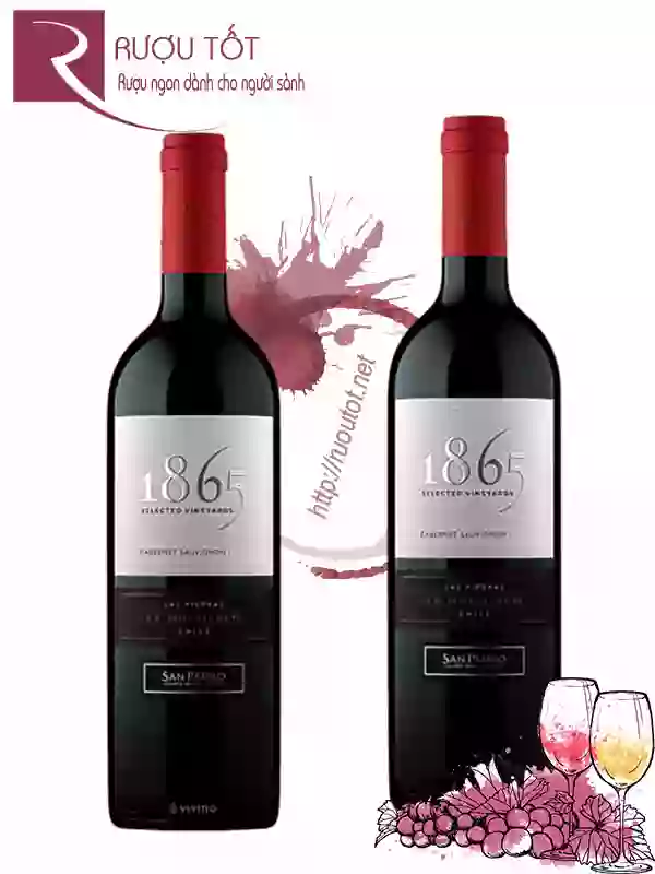 Vang Chile 1865 Selected Vineyards Cabernet Sauvignon
