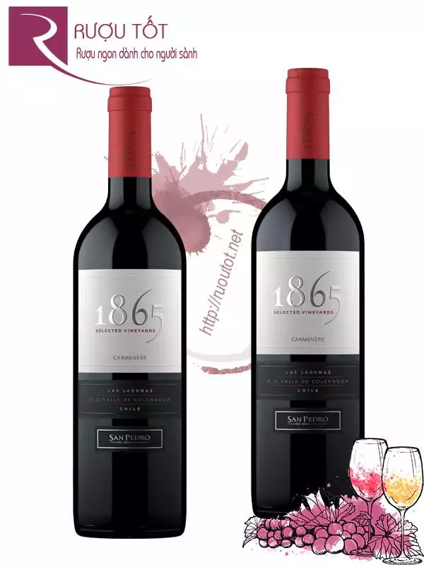 Vang Chile 1865 Selected Vineyards Carmenere