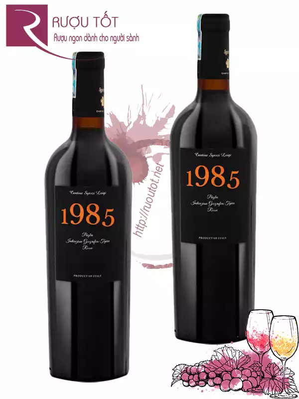 Rượu Vang 1985 Puglia Rosso 13%