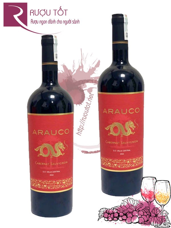 Rượu vang Arauco Dragon Cabernet Sauvignon - Nhãn rồng