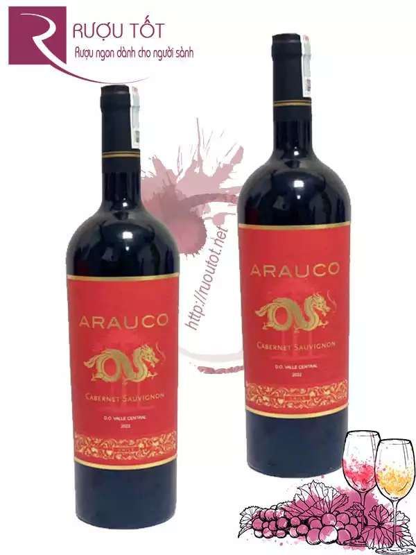 Rượu vang Arauco Dragon Cabernet Sauvignon - Nhãn rồng