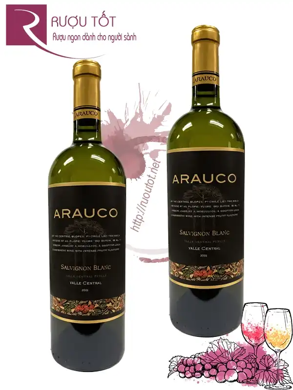 Vang Chile Arauco Sauvignon Blanc Central Valley