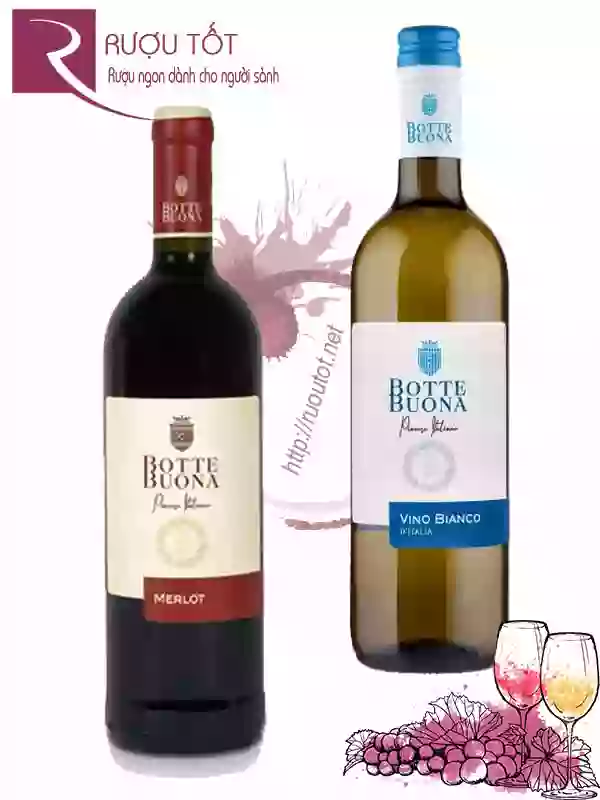 Rượu vang Botte Buona Red - White