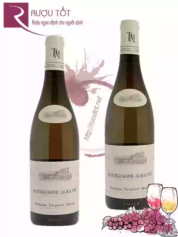 Rượu vang Bougogne Aligote Domaine Taupenot Merme Cao Cấp
