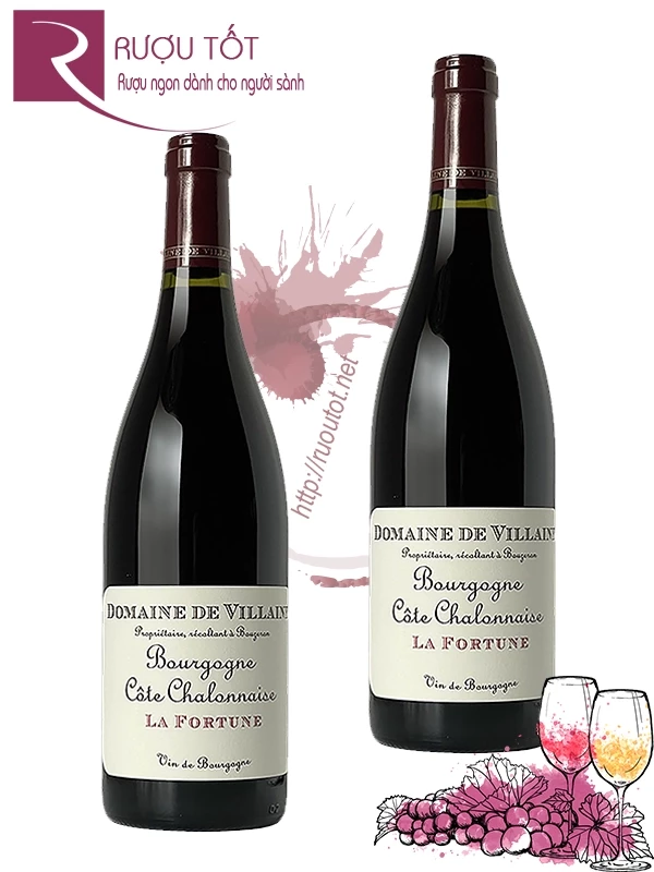 Vang Pháp Domaine A Et P de Villaine La Fortune Bourgogne