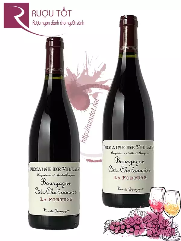 Vang Pháp Domaine A Et P de Villaine La Fortune Bourgogne