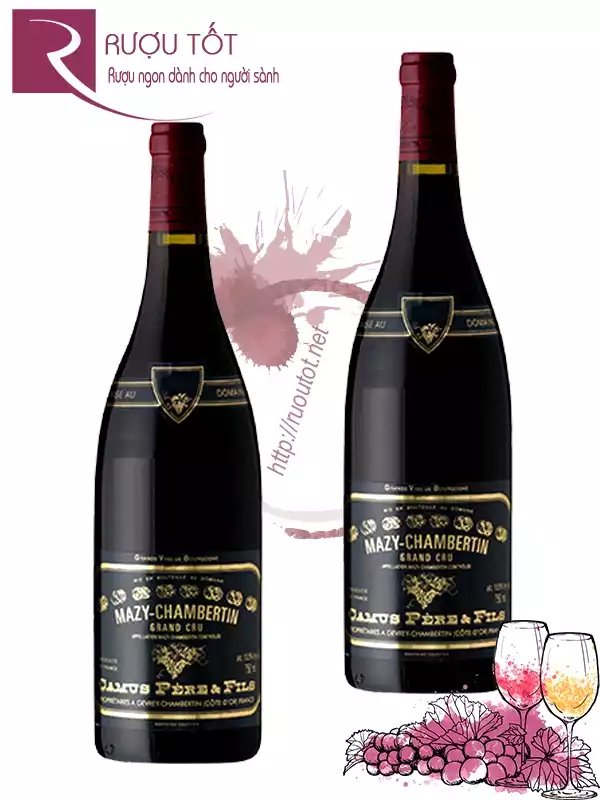 Rượu vang Camus Pere et Fils Mazy Chambertin Grand Cru