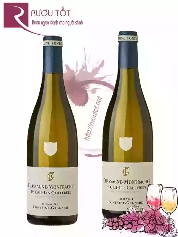 Rượu Vang Chassagne Montrachet Les Caillerets Fontaine Gagnard