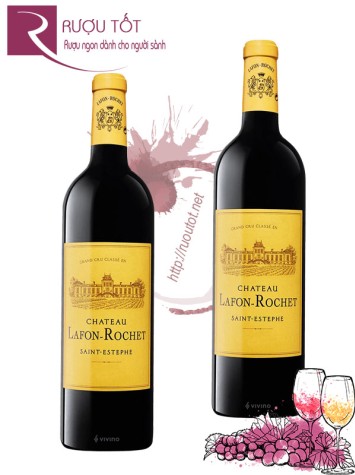 Rượu Vang Chateau Lafon Rochet Saint Estephe Grand Cru Classe Cao cấp